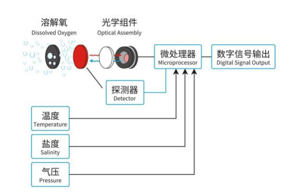 Working principle of Dissolved Oxygen Sensor